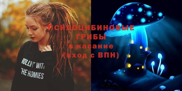 МДПВ Киреевск