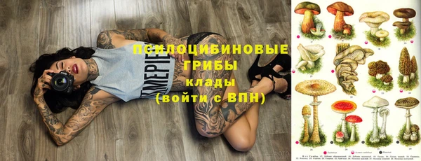 МДПВ Киреевск
