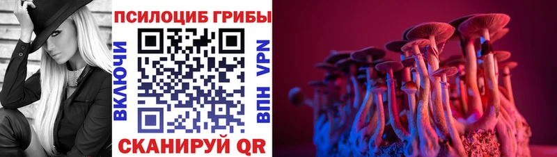 Псилоцибиновые грибы мухоморы  Купить закладки  Камбарка 